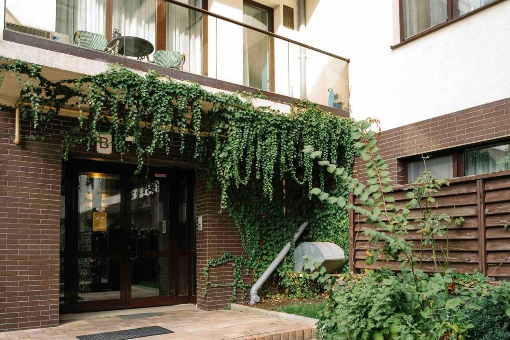 Vivando - Beautiful Studio B + Parking ブカレスト エクステリア 写真